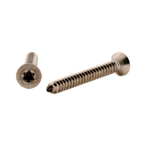Plåtskruv gängpressande FTS Torx A4